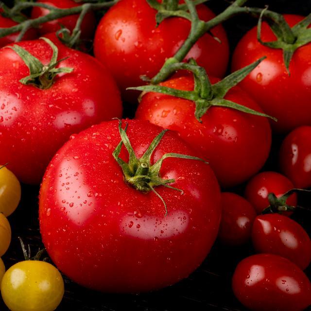 tomatoes